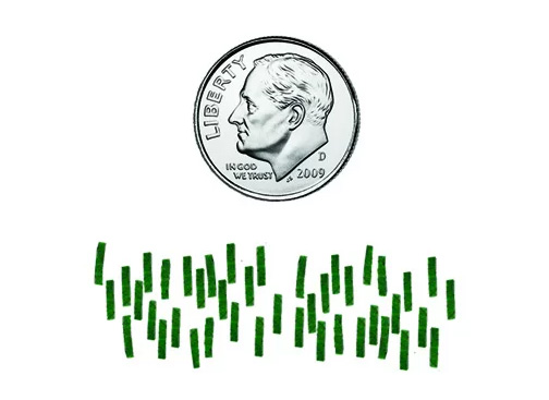 nsa approved shredder particles